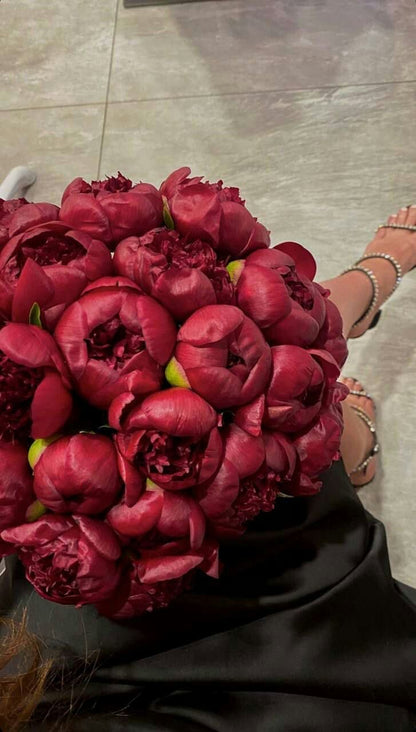 Red Charm Peony