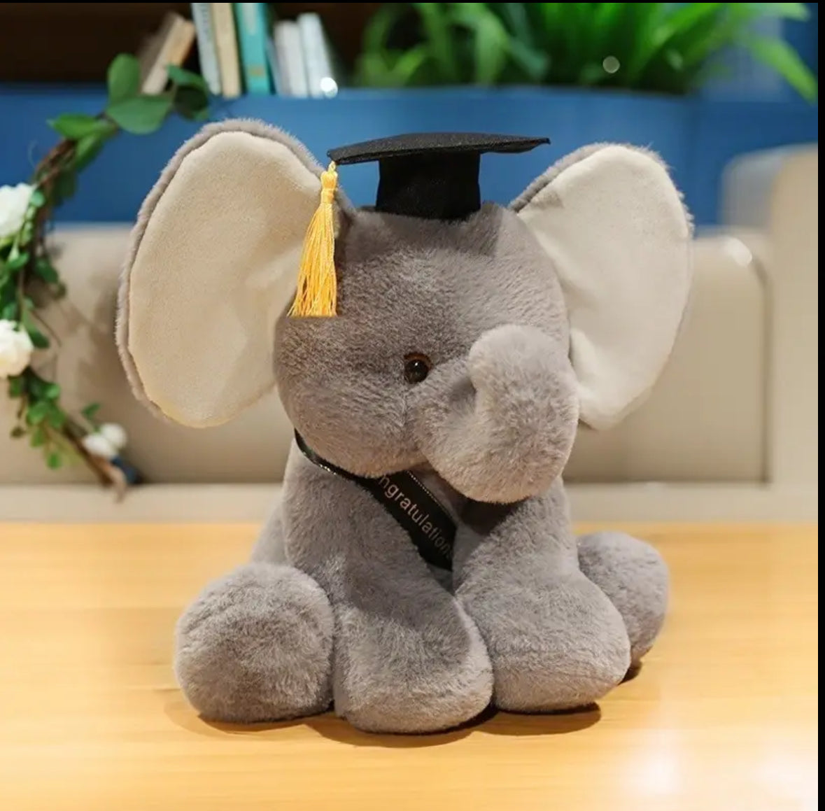 Smart Elephant Graduate