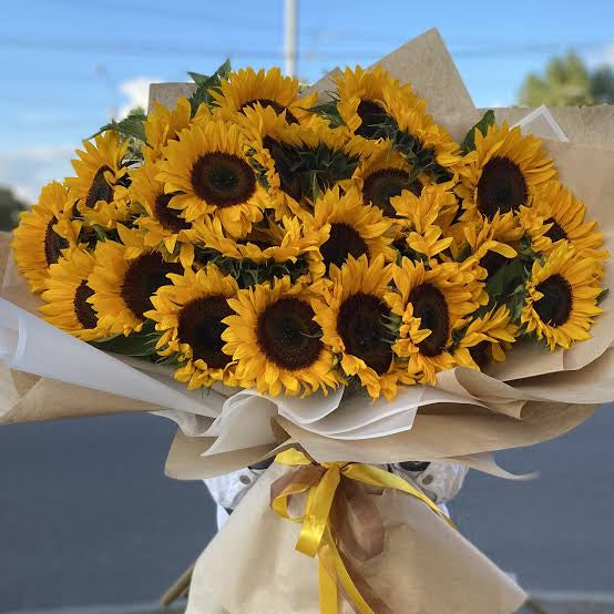 Sunflowers Lovers