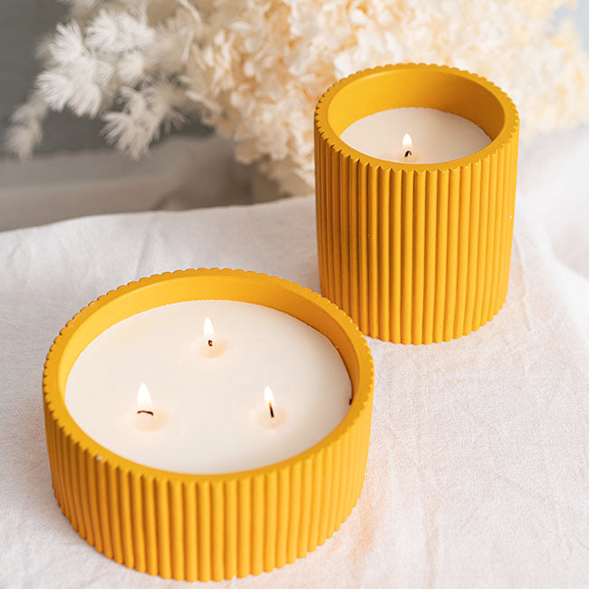 Candle Daisy – Blooming Yellow
