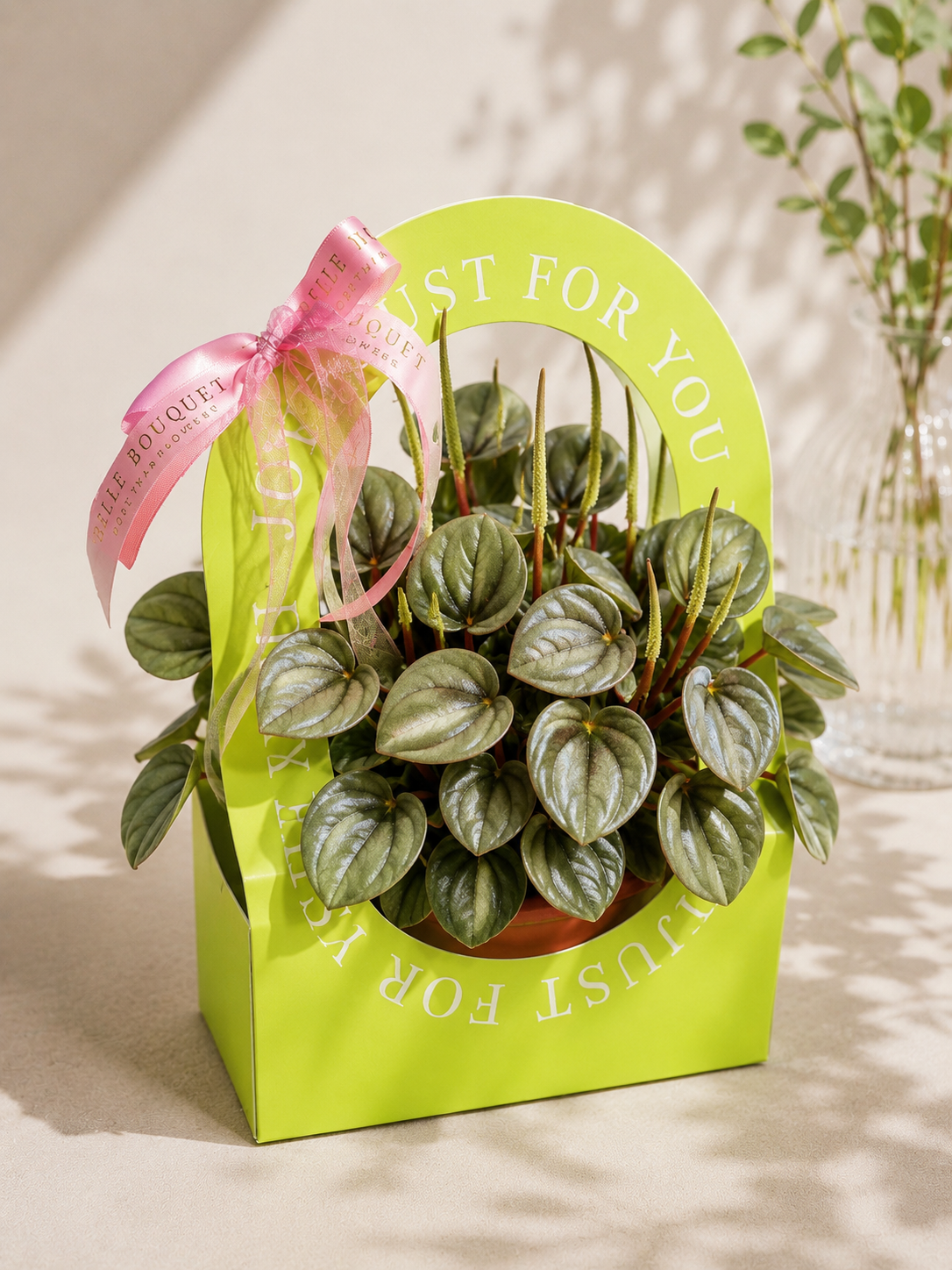 Peperomia ‘Napoli Nights’
(Peperomia caperata)