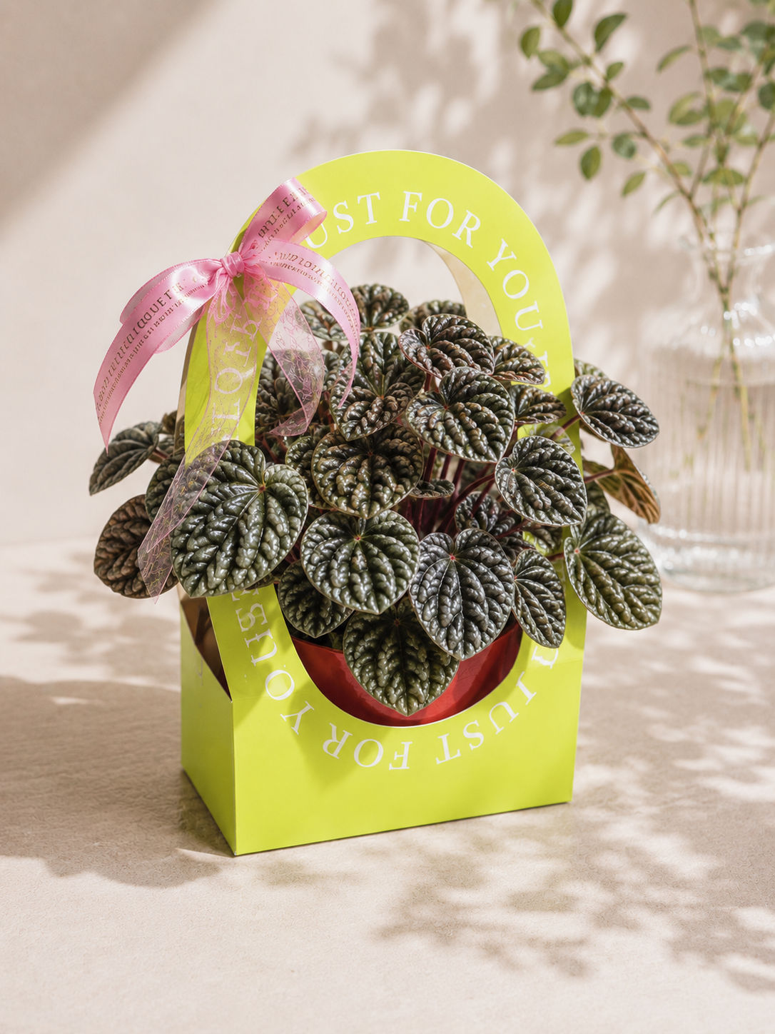 Peperomia ‘Emerald Ripple’
(Peperomia caperata)