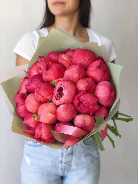 Coral Peony