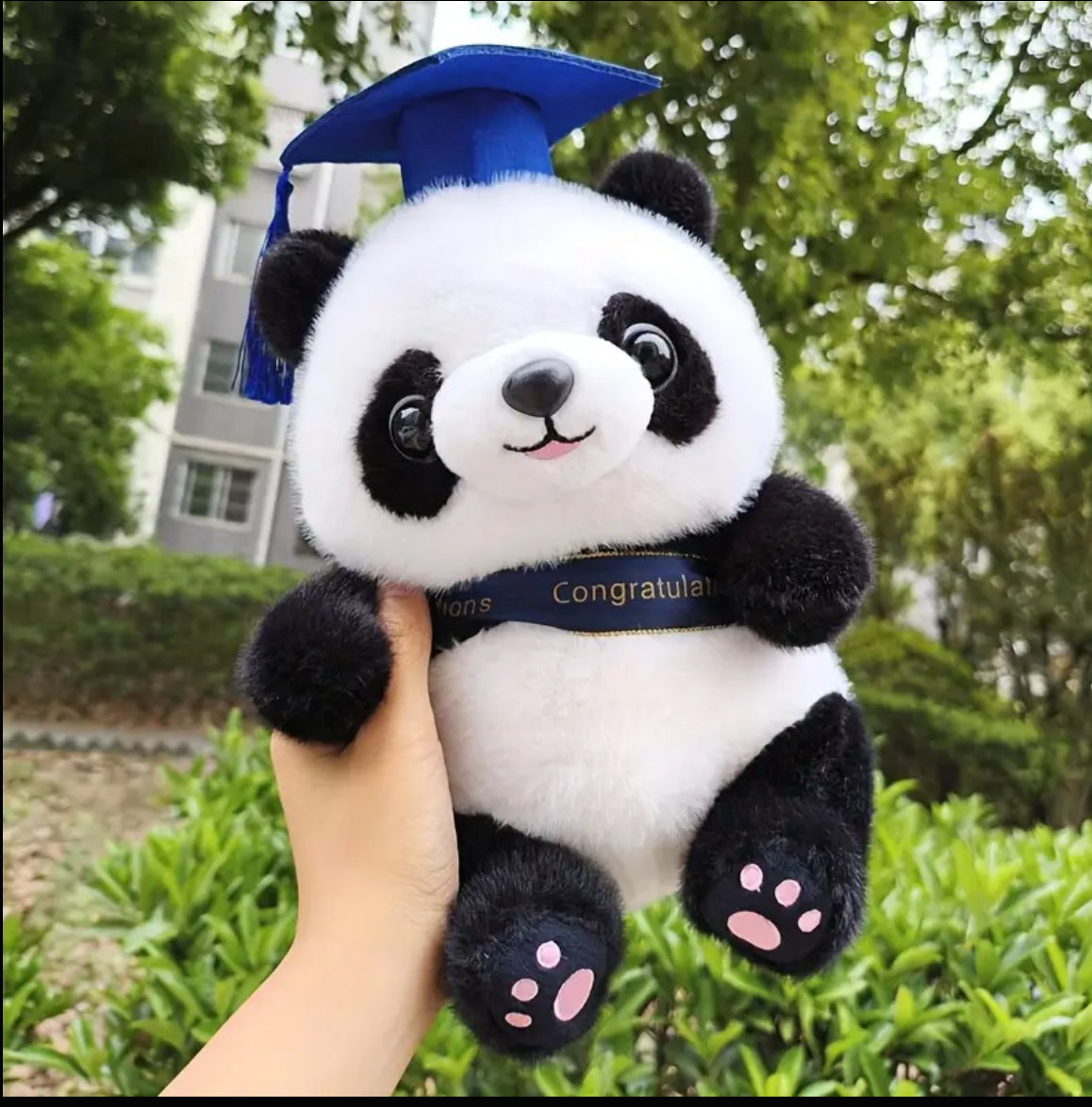 Smart Panda Graduate