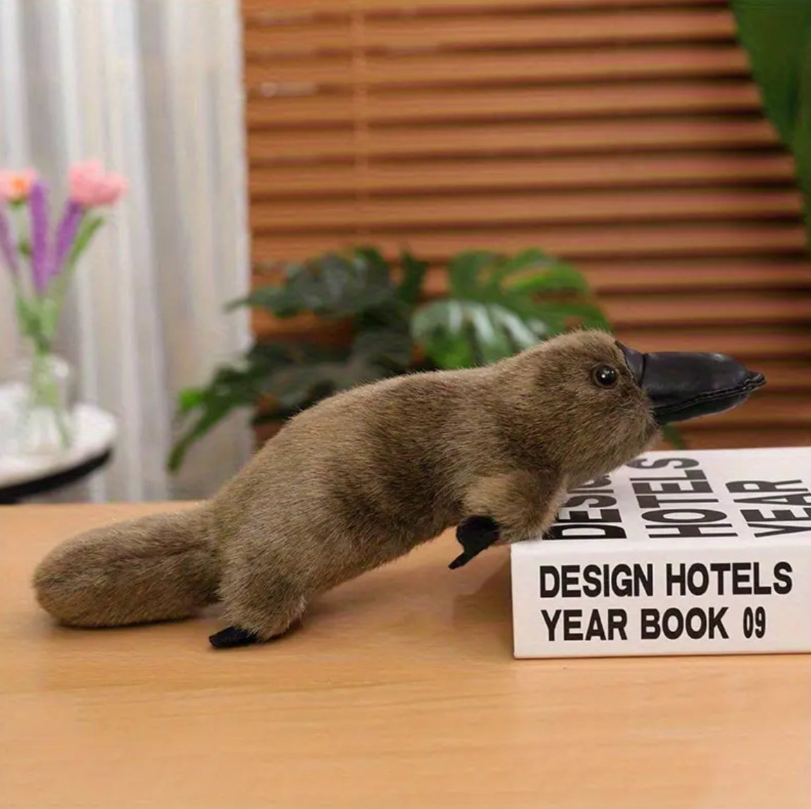 Plush toy platypus on a table, brown colour.