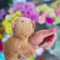 Capybara Clip-On Toy