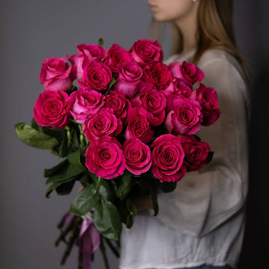 Hot Pink  Roses