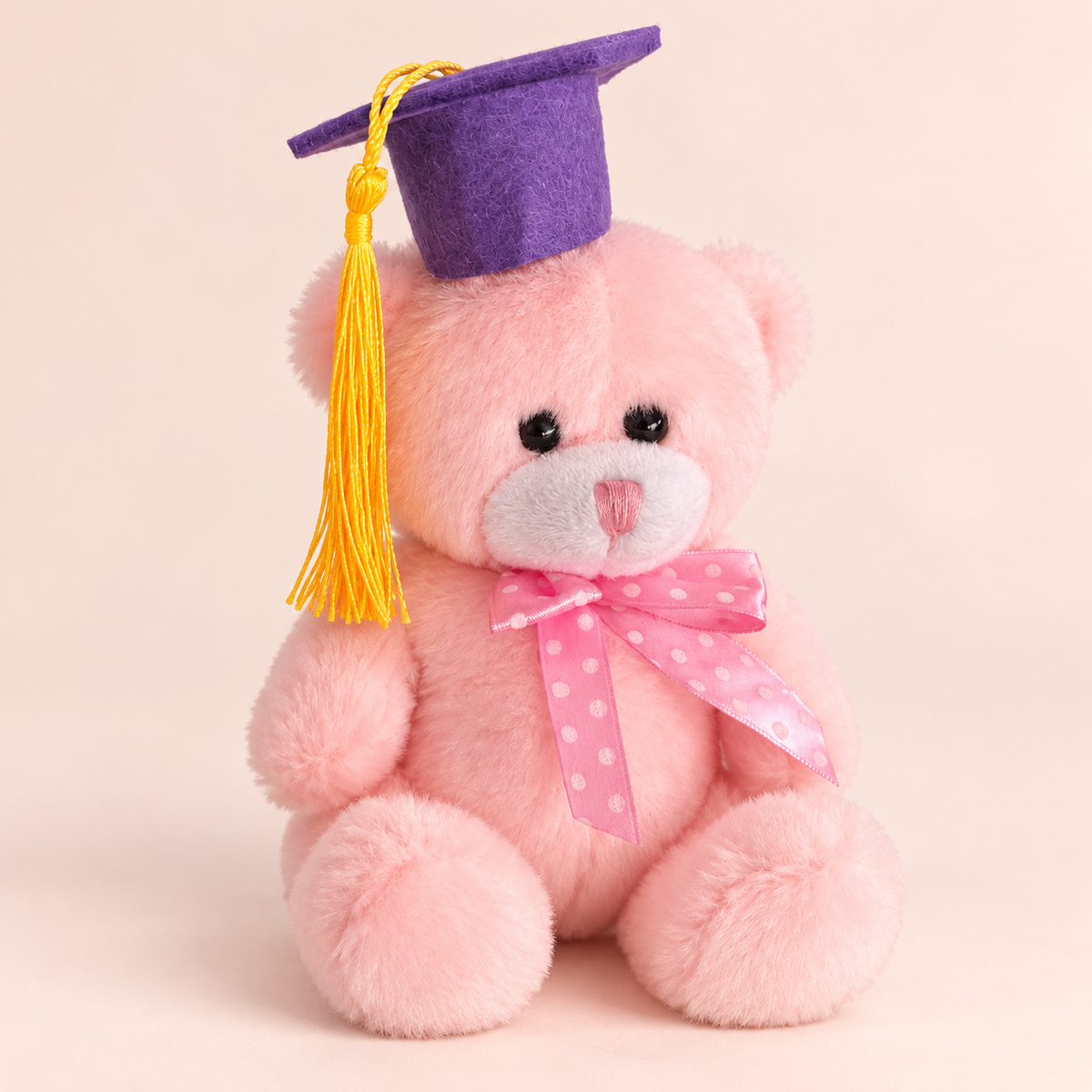 Graduation Teddy Bear – Pink or Purple