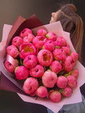Coral Charm Peonies