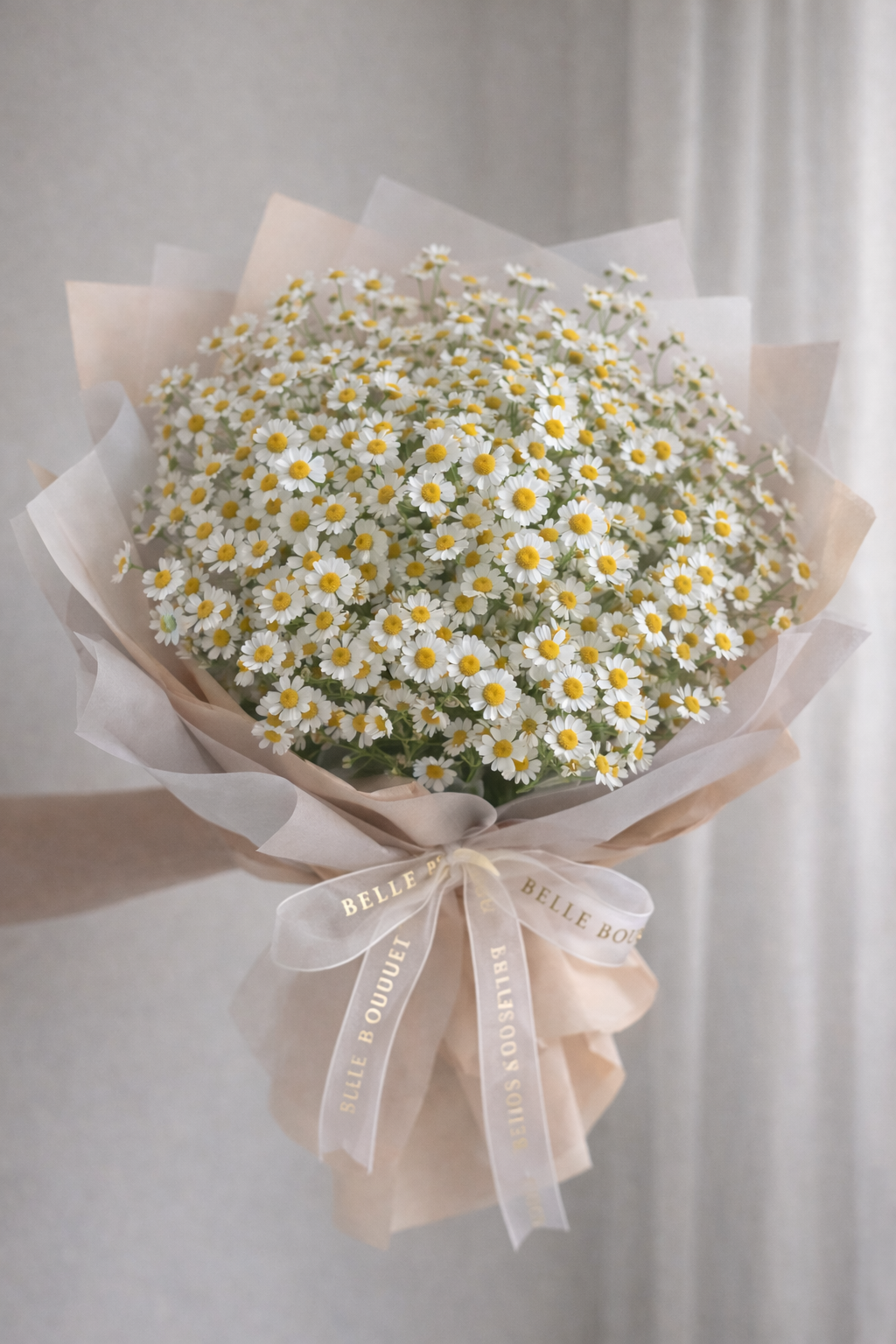 Chamomile Bouquet