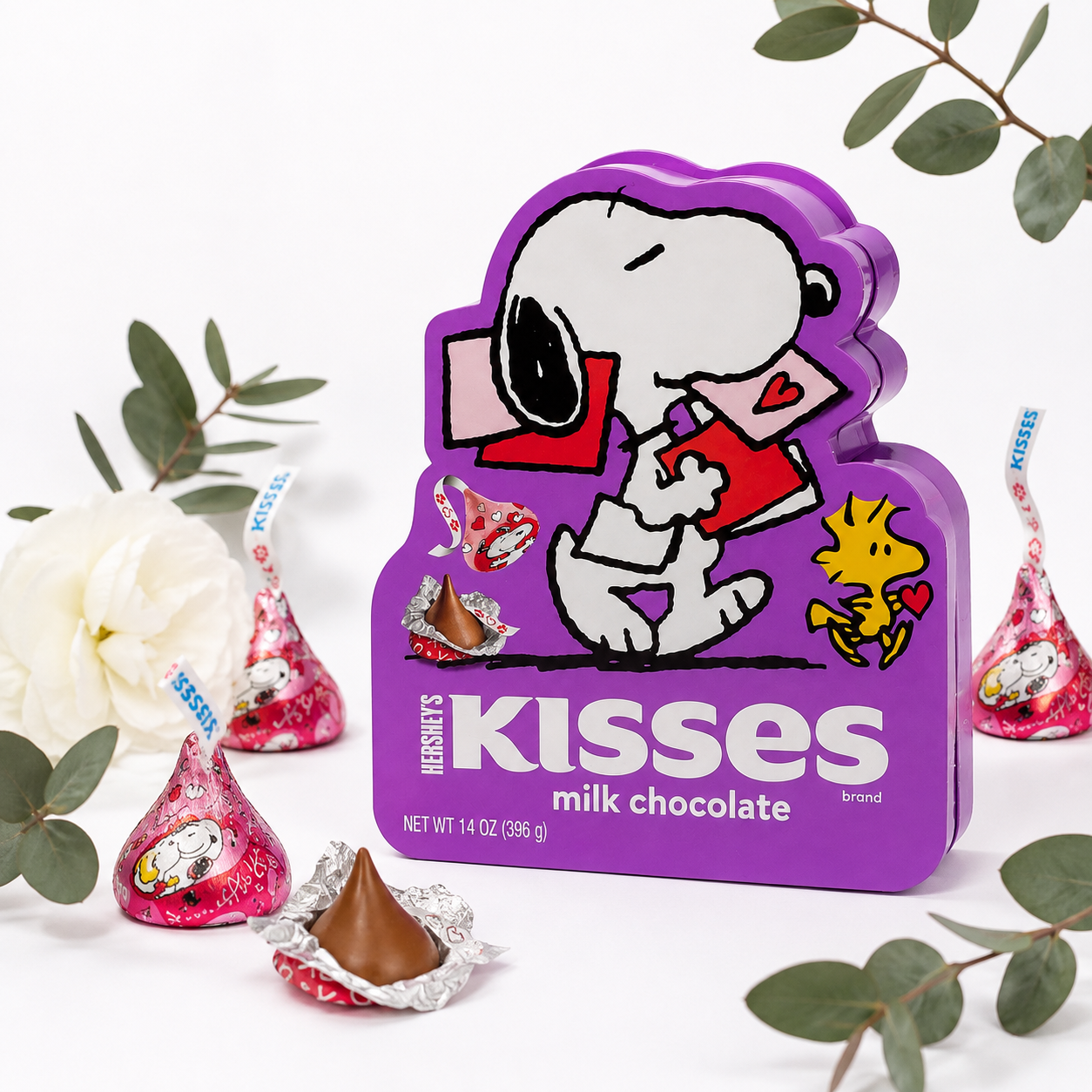 Snoopy™ Hershey’s Kisses Gift Box